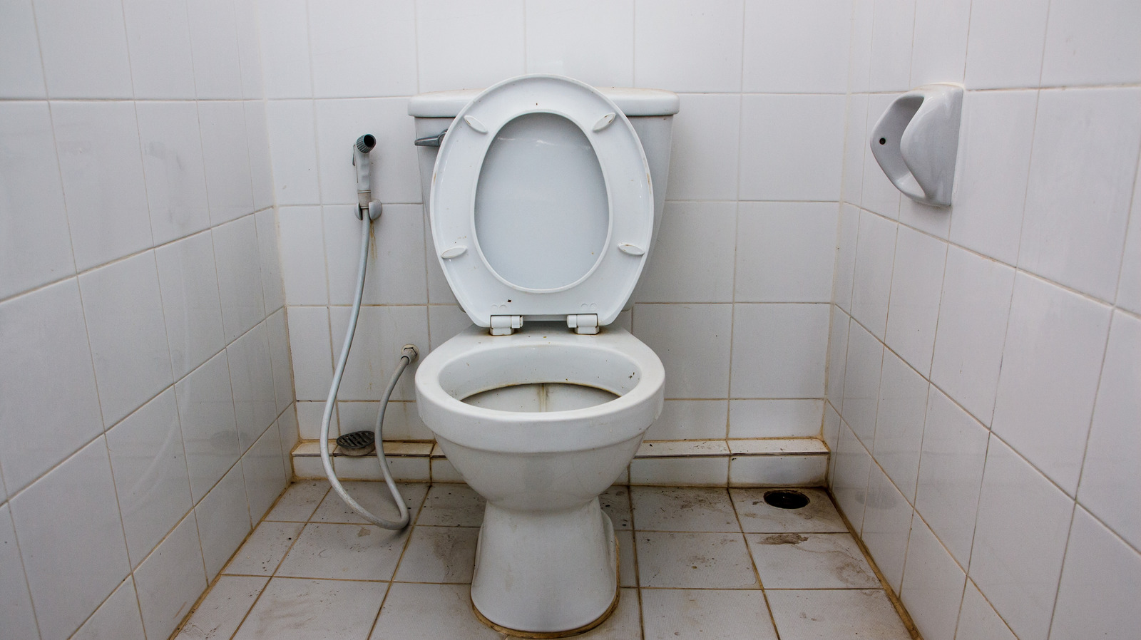 Hizmet Şartları ve Kullanım Koşulları